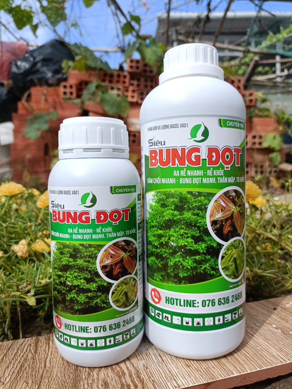 Phân bón bung đọt, kích rễ, phục hồi cây cho mai vàng - siêu tiết kiệm, hiệu quả - chai 500ml và 1 lít