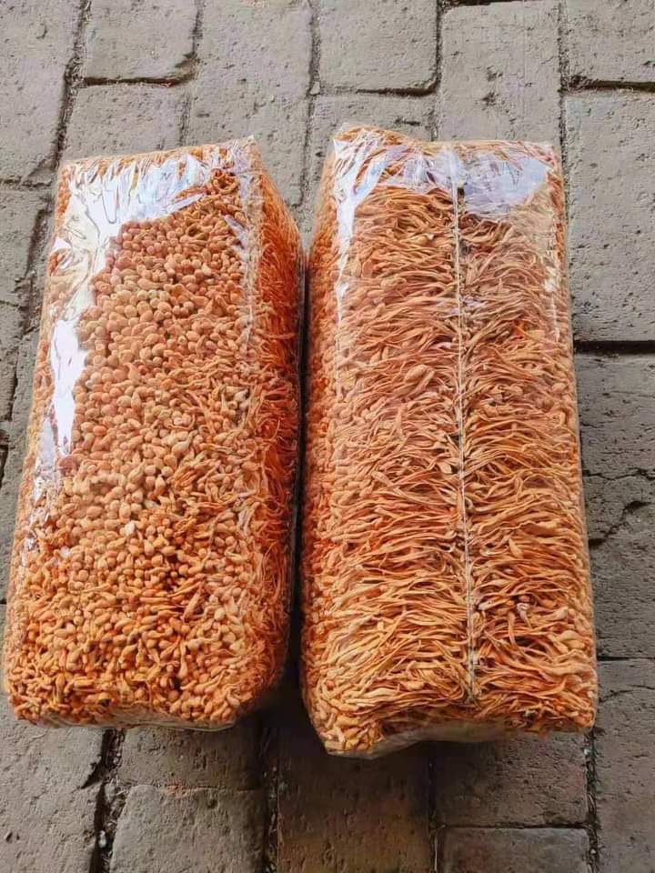 Đông trùng hạ thảo sấy khô túi 1kg - my tea shop