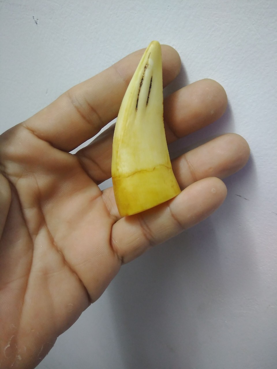 [HCM]LƯỠI HÁI NANH MỸ NGHỆ ĐẸP