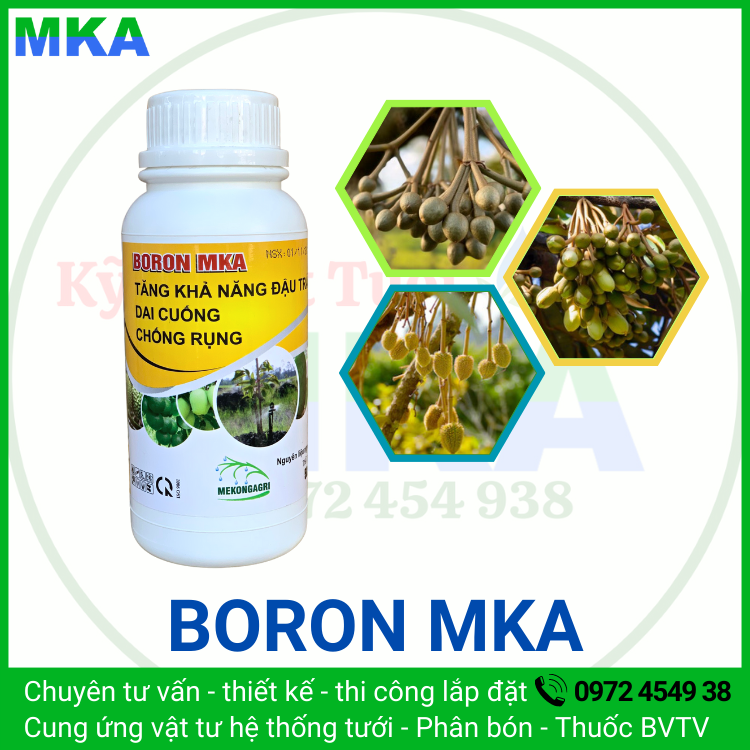 Phân bón lá Boron tăng đậu trái Mekongagri