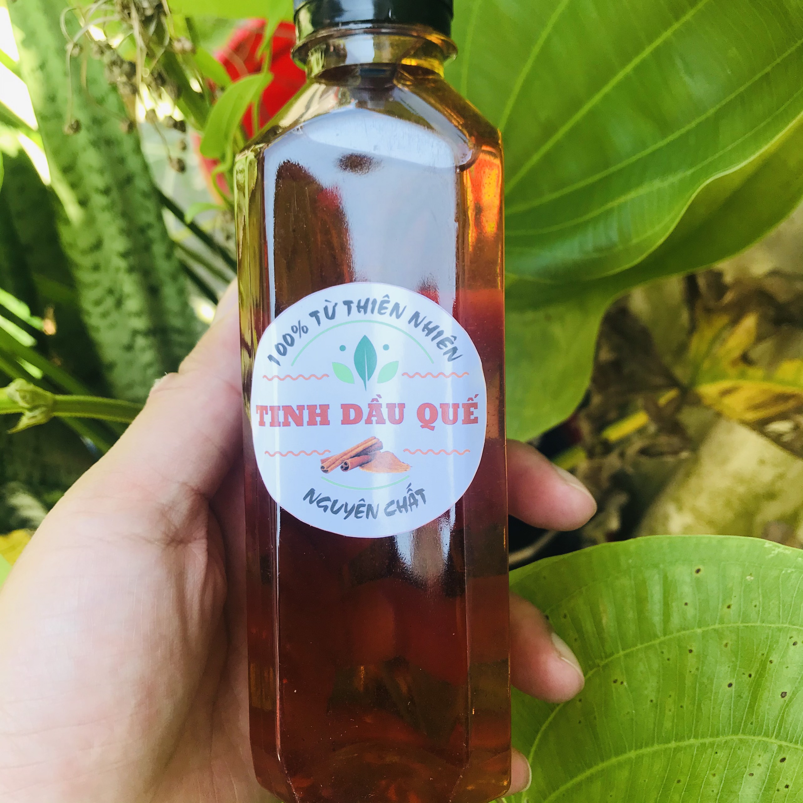 Tinh dầu quế nguyên chất - - thơm, khử mùi, xua đuổi côn trùng, giảm căng thẳng, mệt mỏi