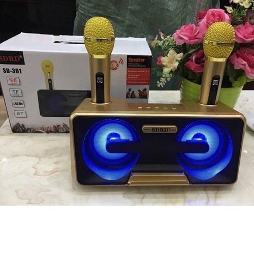 Loa karaoke sd-302