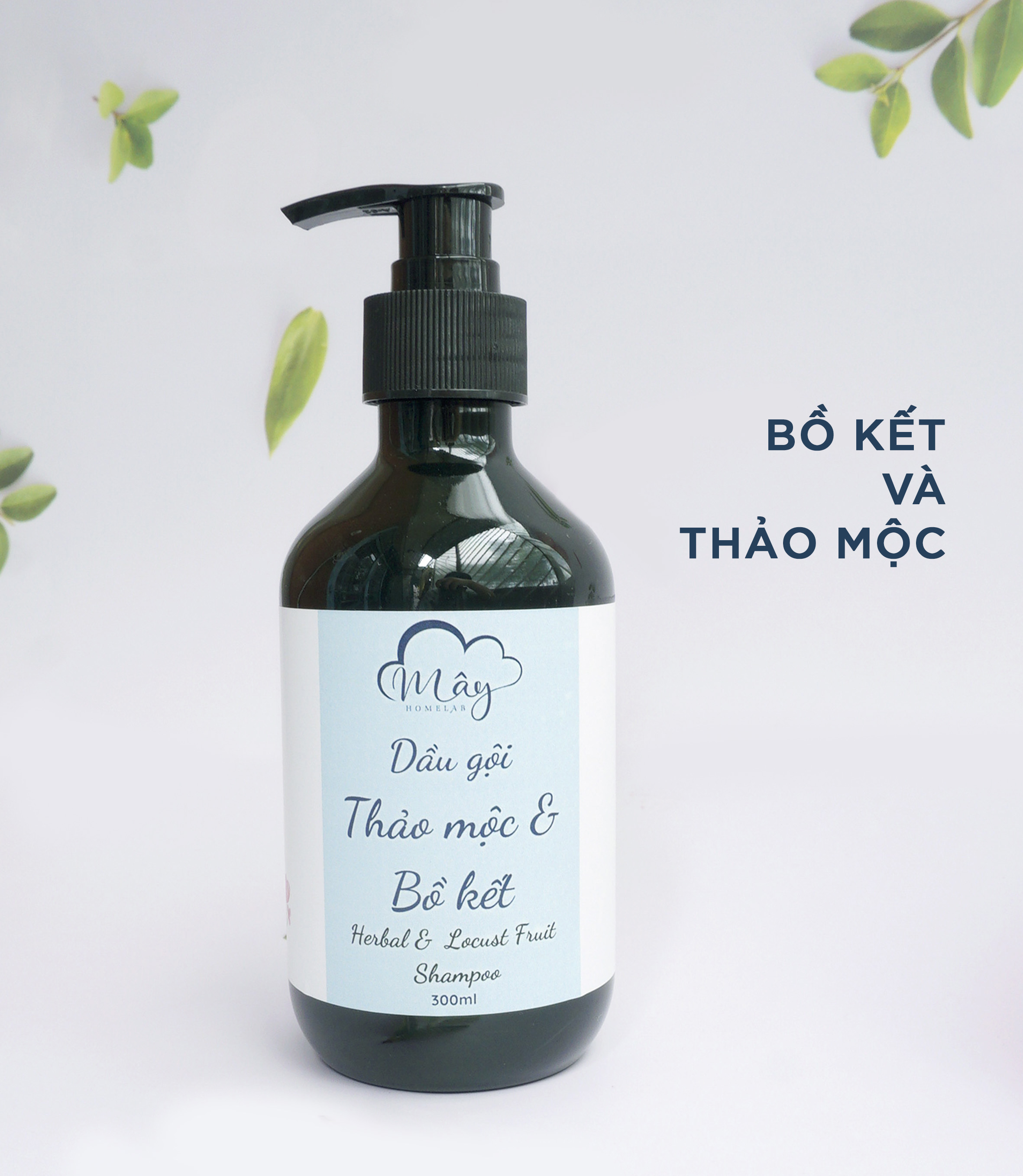 Dầu gội Thảo mộc Bồ kết Thiên nhiên Handmade Mây Homelab