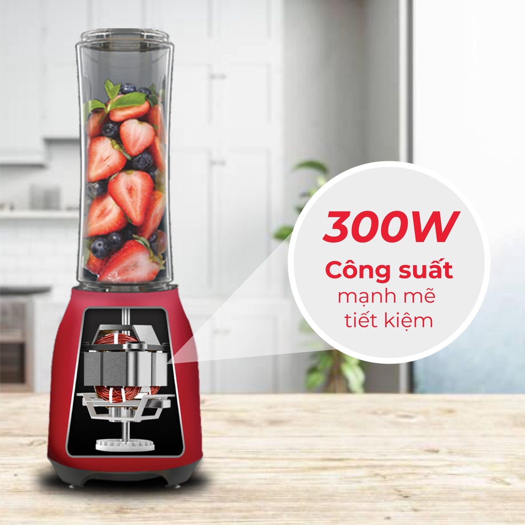 Máy xay sinh tố rapido rb-300m