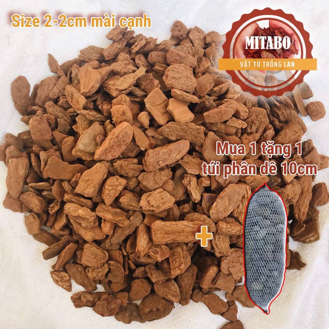 Combo 5kg vỏ thông trồng lan giá thể trồng lan cao cấp đã qua xử lý mài cạnh 2-2cm vỏ thông Mitabo loại VIP