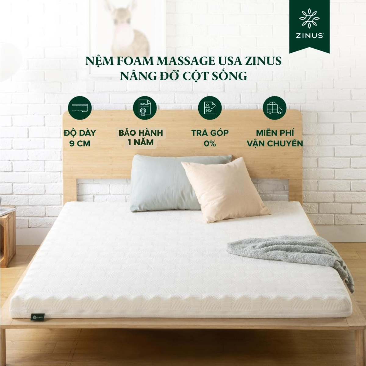 Nệm Foam Cao Su Non Massage USA Zinus 9cm - Nâng Đỡ Cột Sống, Giảm Nhức Mỏi Toàn Thân & Thoáng Khí