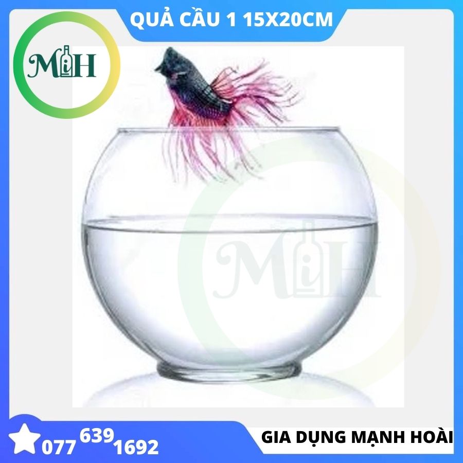 [HCM]QUẢ CẦU THỦY TINH QC1 HỒ CÁ LỚN THỦY TINHĐỂ BÀN TRANG TRÍ PHONG THỦY MINI dia 20 cm cao 15cm  ĐÁ SỎI màu MH-QC1