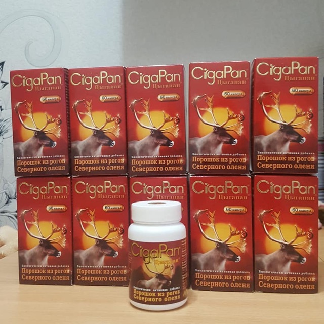 combo 2 hộp  Nhung Hưu Cigapan Nga