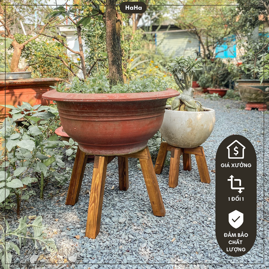 Giá đỡ chậu cây cao cao cấp chân gỗ đặt chậu cây ccg10 chịu lực 60-100kg
