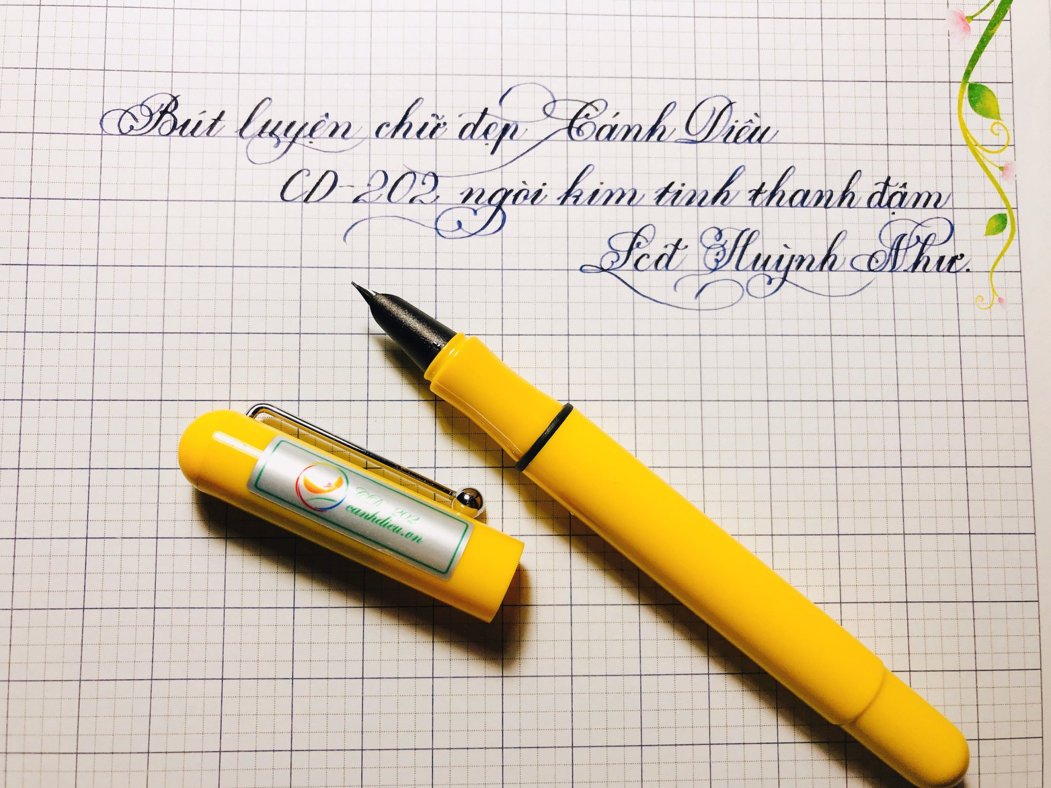 Bút máy  luyện chữ đẹp Cánh Diều CD202 vỏ nhựa màu trơn