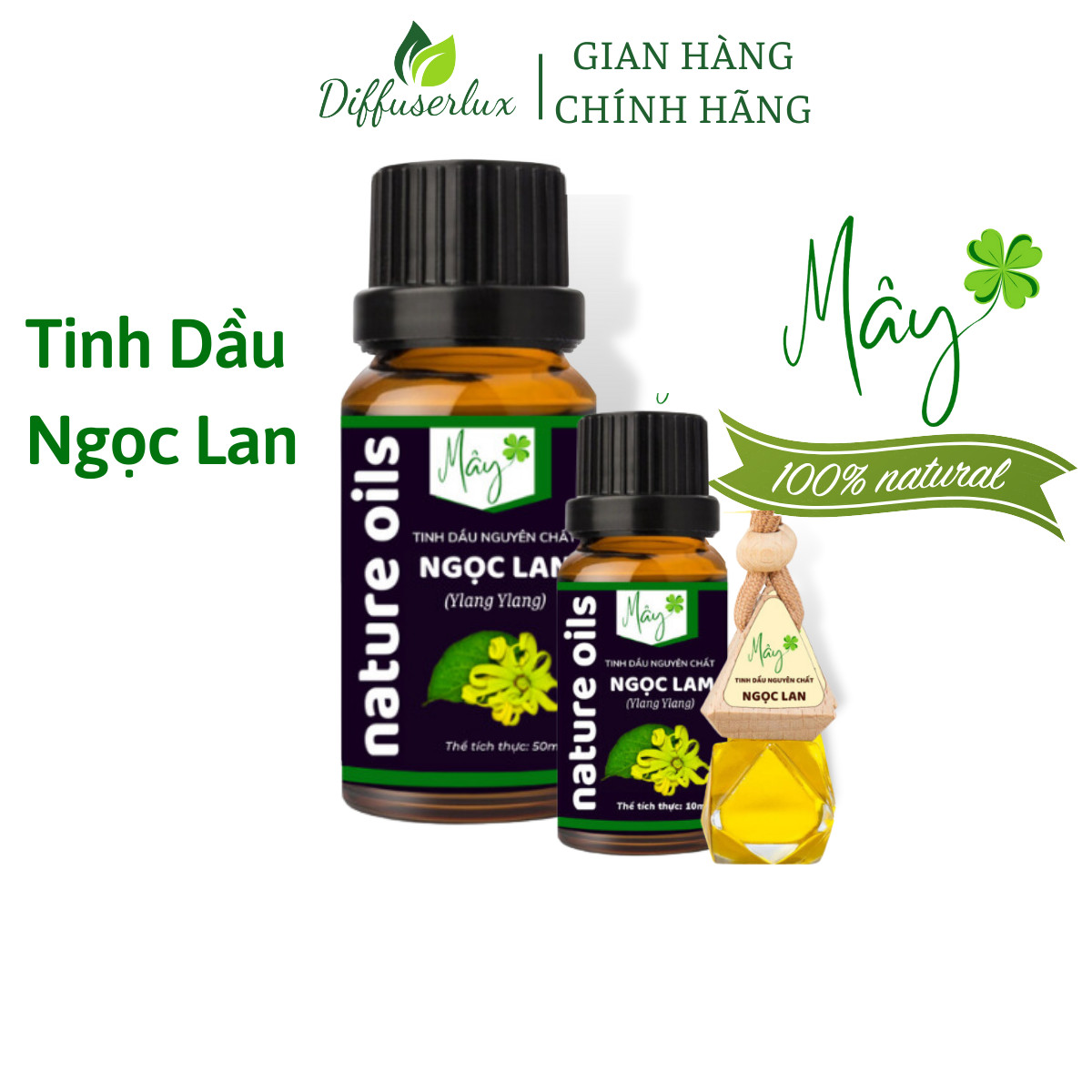 Tinh dầu xông phòng Ngọc Lan Tây nguyên chất dung tích 10ml - 50ml, có kiểm định, chính hãng Tinh Dầu Mây