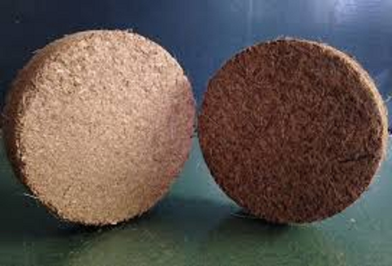 Combo 2 Bánh Xơ Dừa Dạng Nén trồng rau mầm, rau củ, quả sạch