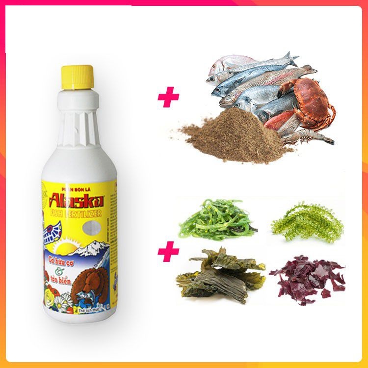ALASKA 100ML Phân Bón Lá Đạm Cá Hữu Cơ Alaska (Mỹ) 100ml/Hũ