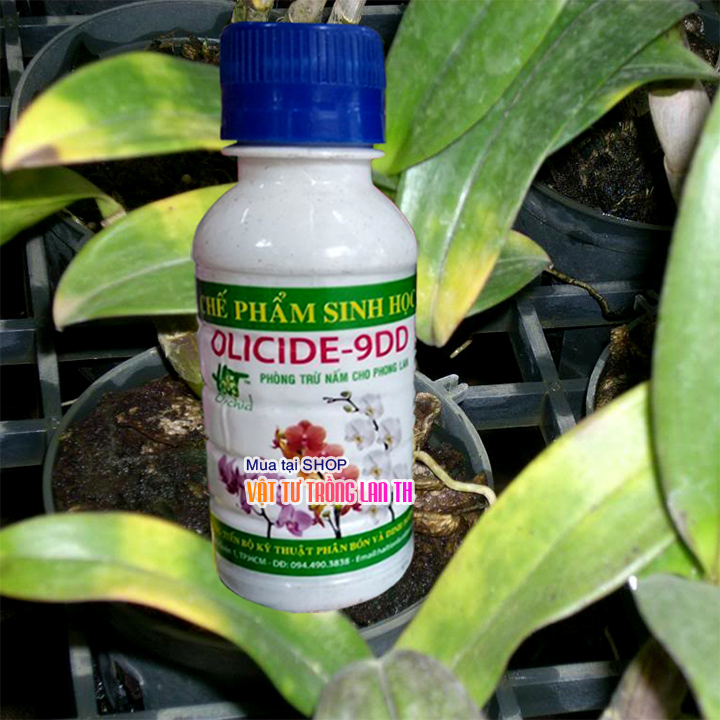 Chế phẩm trừ nấm bệnh cho Lan Olicide-9DD hiệu quả cao