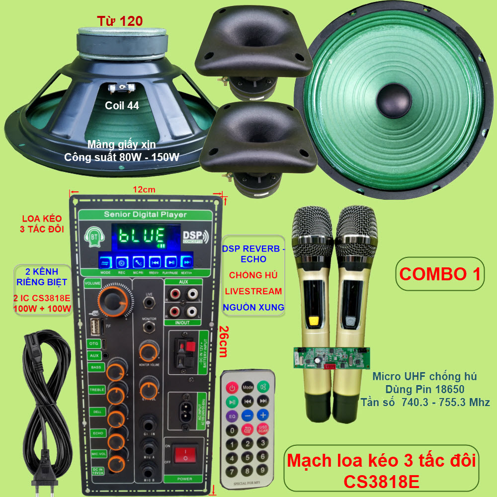Mạch loa kéo 3 tấc đôi livestream dsp reverb – echo chống hú cs3818e