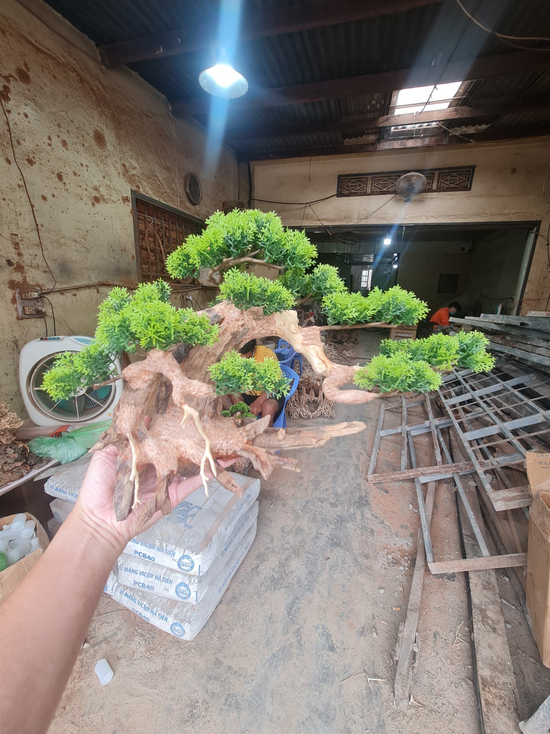Lũa bonsai cho hồ cá cảnh- size trung