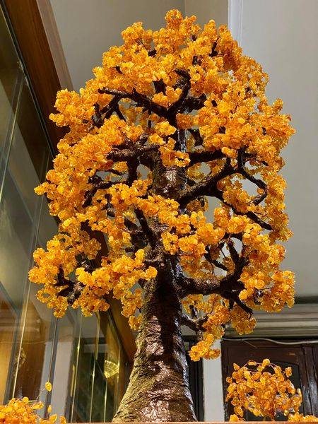 CÂY TÀI LỘC HỔ PHÁCH BÁCH TÁN