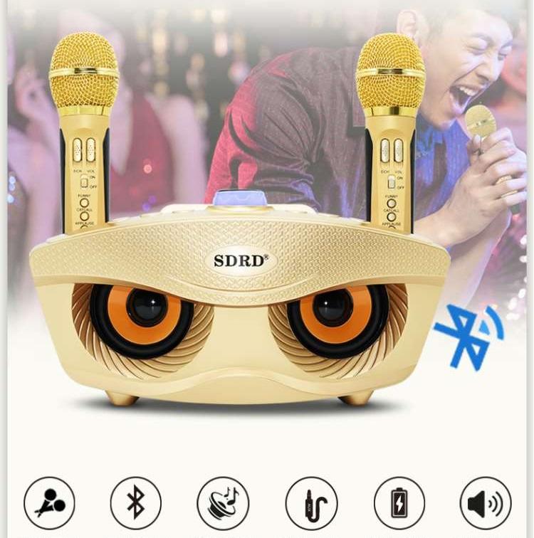 Dàn Karaoke Kẹo Kéo Gia Loa Di Dong Karaoke Loa Karaoke Bluetooth Sd-306 Kiểu Dáng