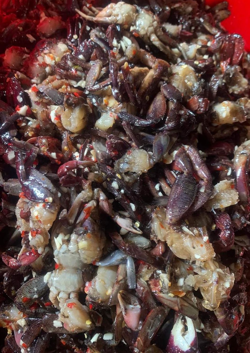 hủ 700g Mắm Ba Khía Sữa Trộn Vừa Ăn Thịt Nhiều, khô ong chin