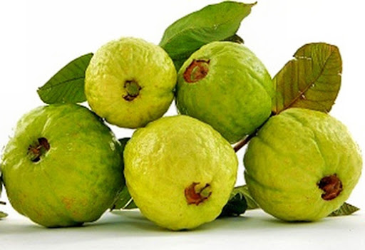 1 kg ổi rừng Yên Bái ngâm rượu thơm ngon