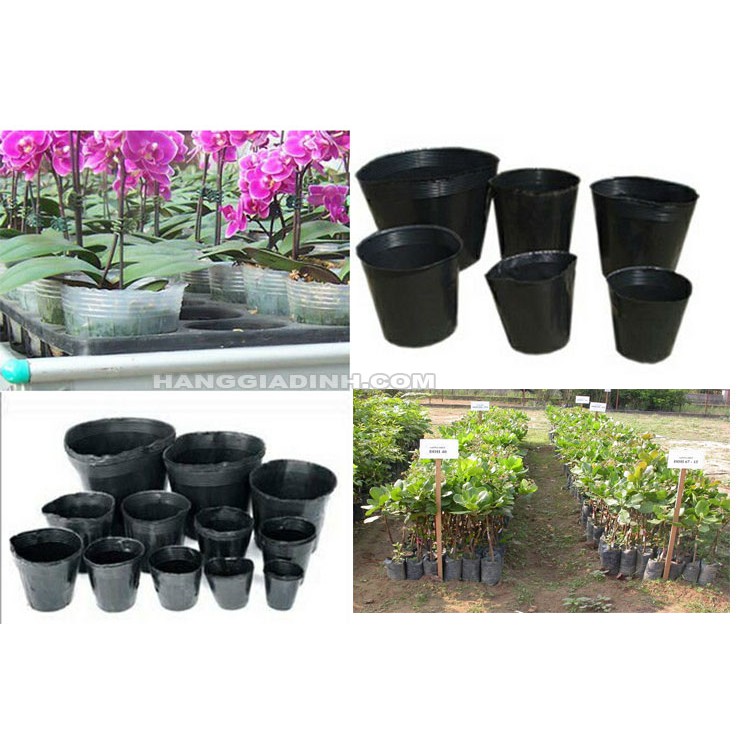 [FreeShip] 1kg Túi Bầu Ươm Cây Giống - Kích Thước 8x8cm