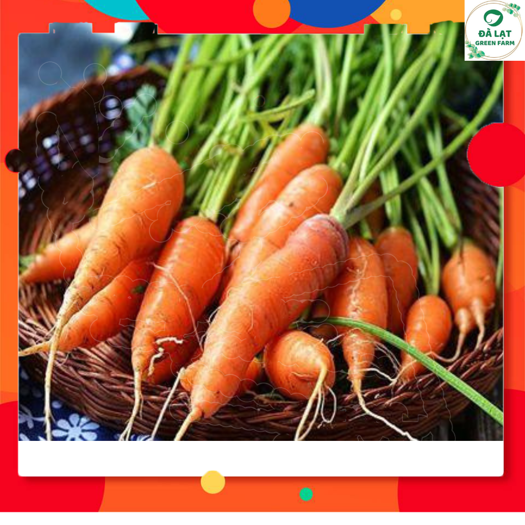 01 gói hạt giống cà rốt f1 - sinh trưởng mạnh