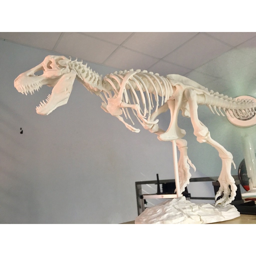 Tổng hợp 83 hình về mô hình xương khủng long  daotaonec