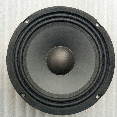 LOA BASS 20 GÂN VẢI NAM CHÂM 100 - 1 ĐÔI - GIÁ SIÊU RẺ