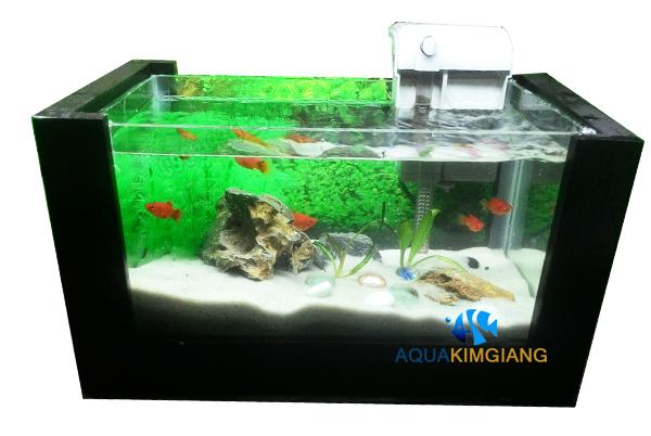 Bể cá cảnh Mini khung gỗ để bàn kích thước 30cm x 16cm x 19cm