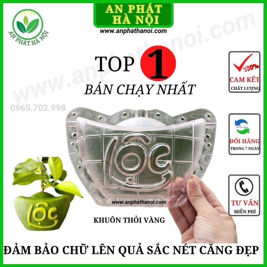Khuôn tạo hình quả bưởi hình Thỏi Vàng, Giọt Nước, Hồ Lô, Tiểu Đồng in chữ Tài Lộc, khuôn bưởi loại đẹp