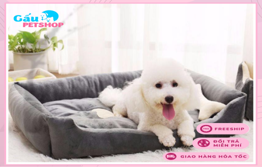 Nệm khúc xương cho chó mèo giá rẻ nhiều size