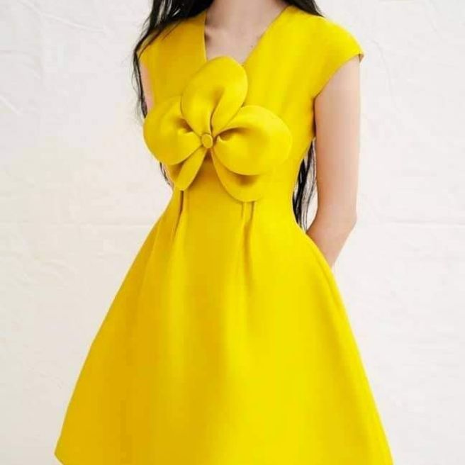 đầm xòe dự tiệc cổ tim đính hoa lớn