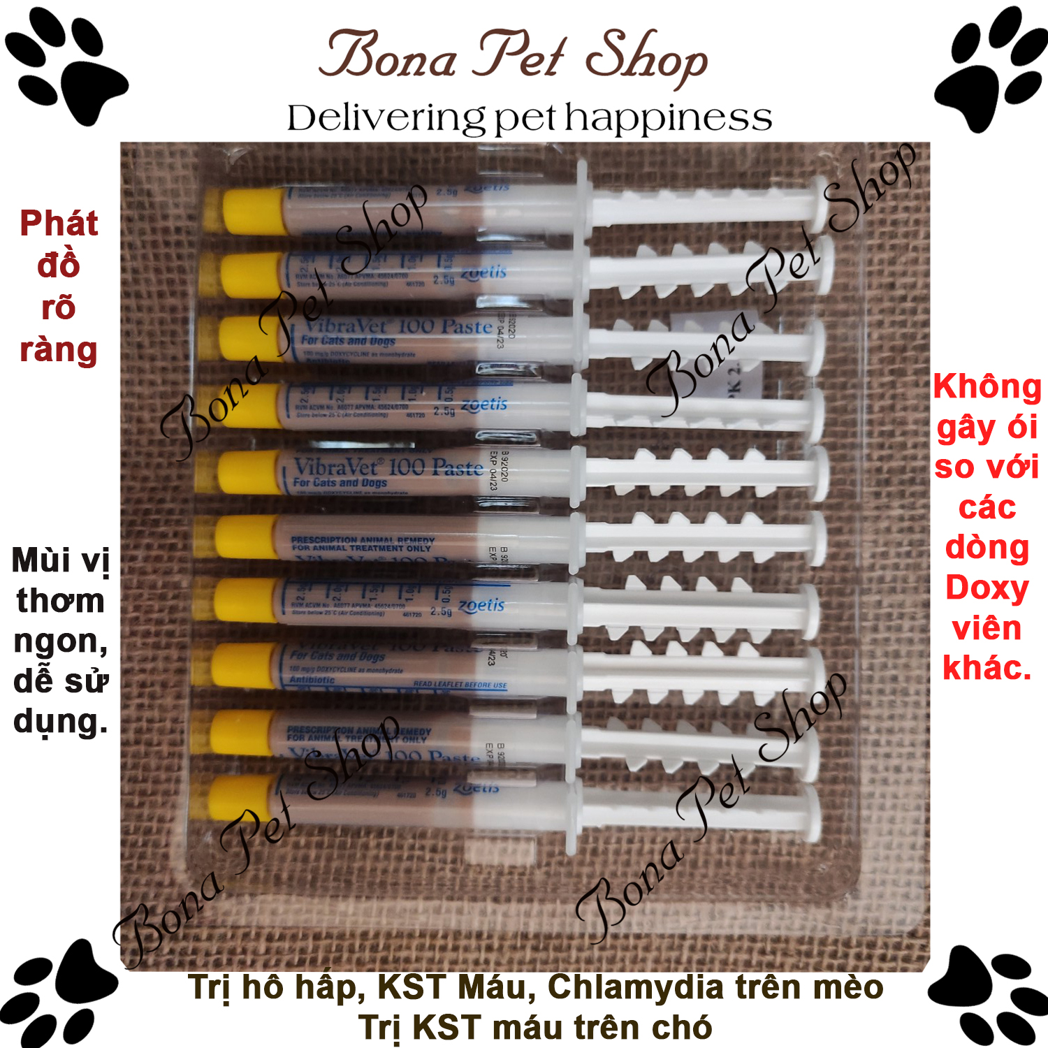 1 Tuýp Vibravet phòng hô hấp cho chó mèo