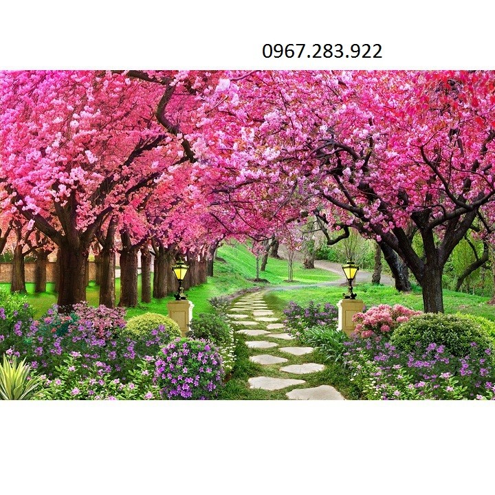 Hình nền  phong cảnh Anime chi nhánh Hoa anh đào Hồng Mùa xuân màu  thực vật Hệ thực vật Cánh hoa Trồng hoa 1920x1200  THEALLSTAR  730044   Hình nền đẹp hd  WallHere