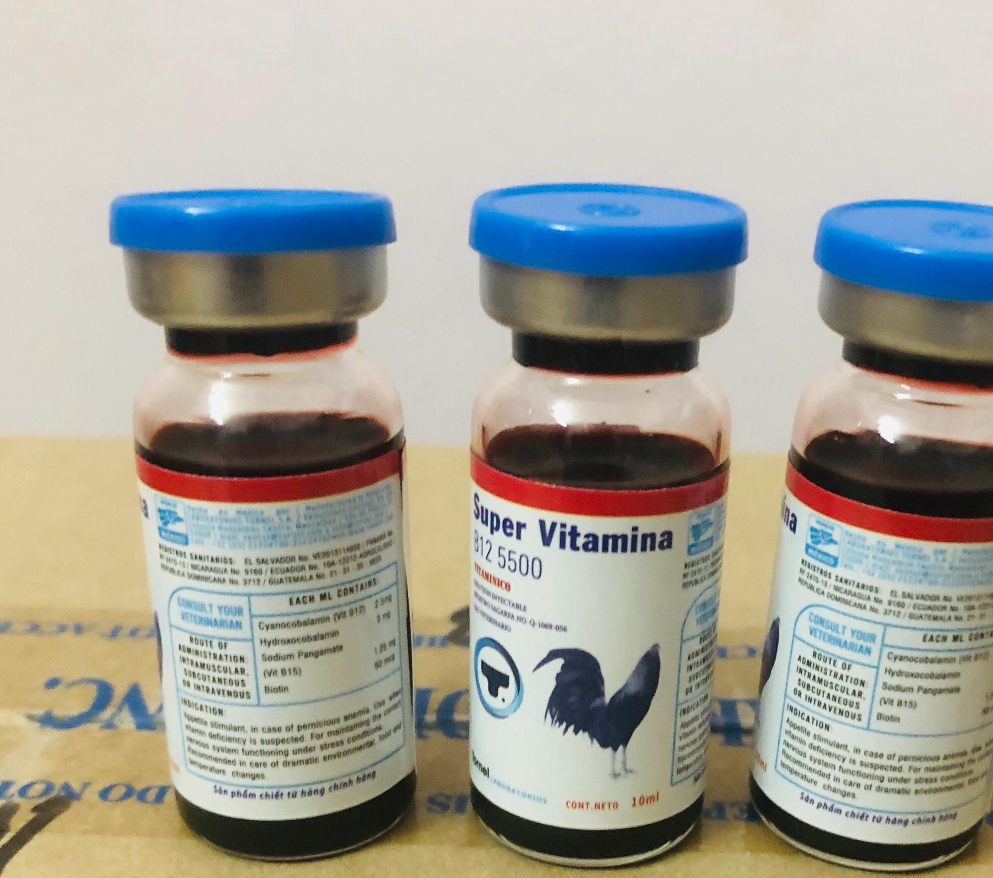 Bổ gà - super vitamina b12 5500 - chai 10ml