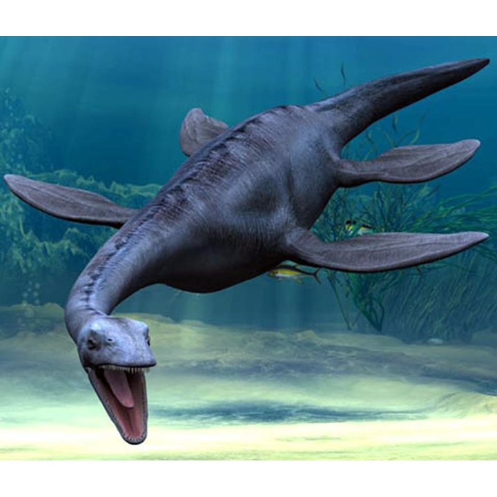 Mô Hình Khủng Long Plesiosaurus Bằng Nhựa
