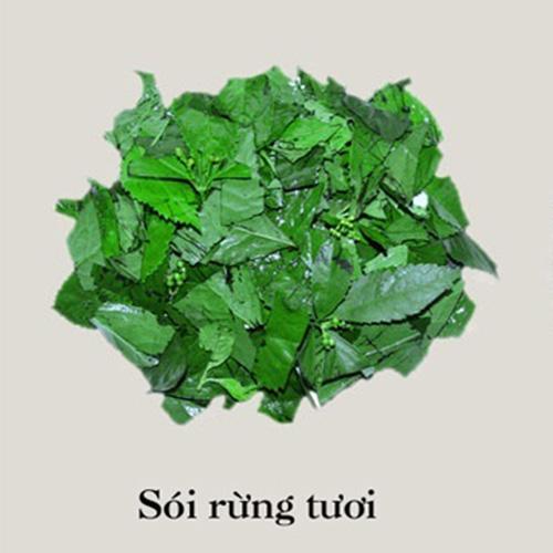 cây sói rừng khô 1kg