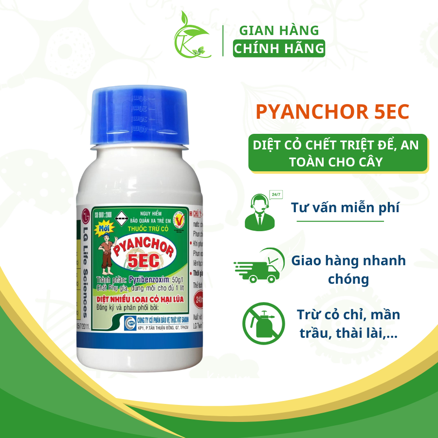 Chế phẩm xử lý sâu cỏ hậu nảy mần pyanchor 5ec 240ml xử lý các loại cỏ phổ biến trên ruộng lúa