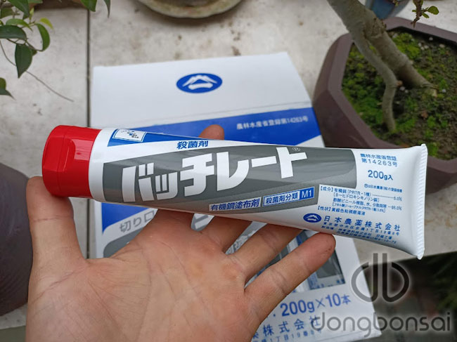 Keo liền sẹo Nichino 200g xuất xứ Nhật Bản