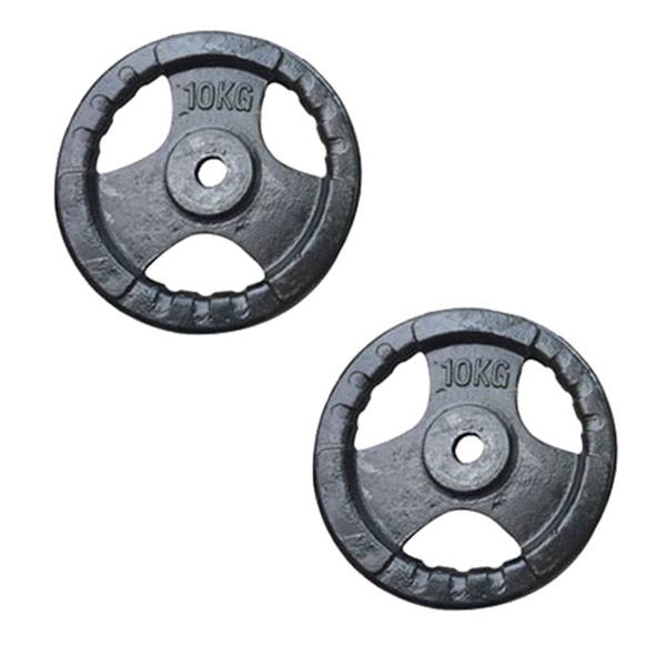 Bánh tạ gang đúc sắt hàng chuẩn 10kg 1 cục