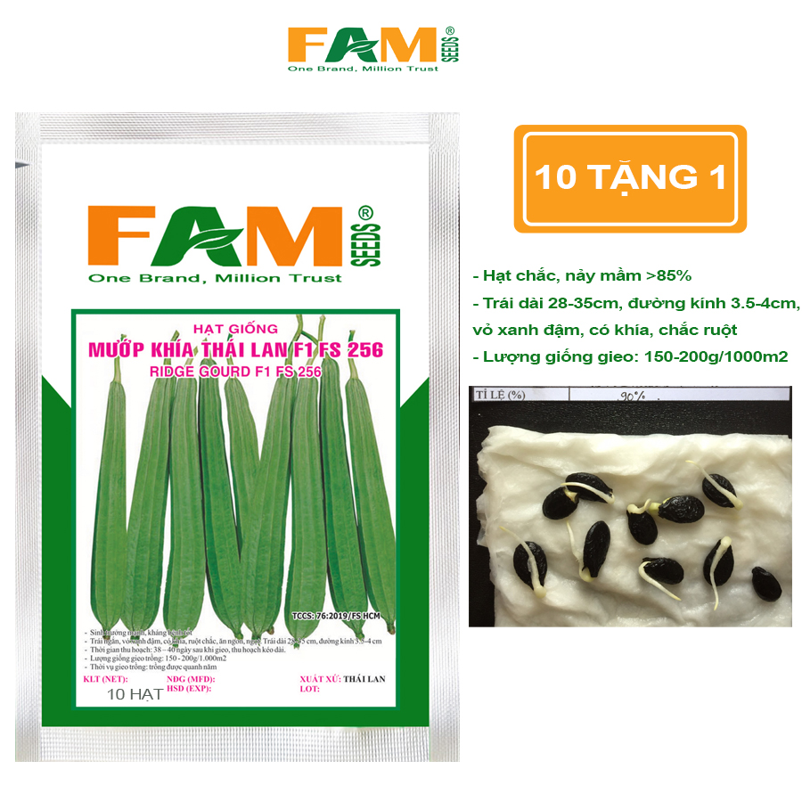 Hạt Giống Mướp Khía Thái Lan F1 FS 256 (Trái Ngắn) - Hạt Giống Nảy Mầm Khỏe, Trái Dài 28-35cm, Vỏ Xanh Đâm, Chắc Ruột, Sai Trái