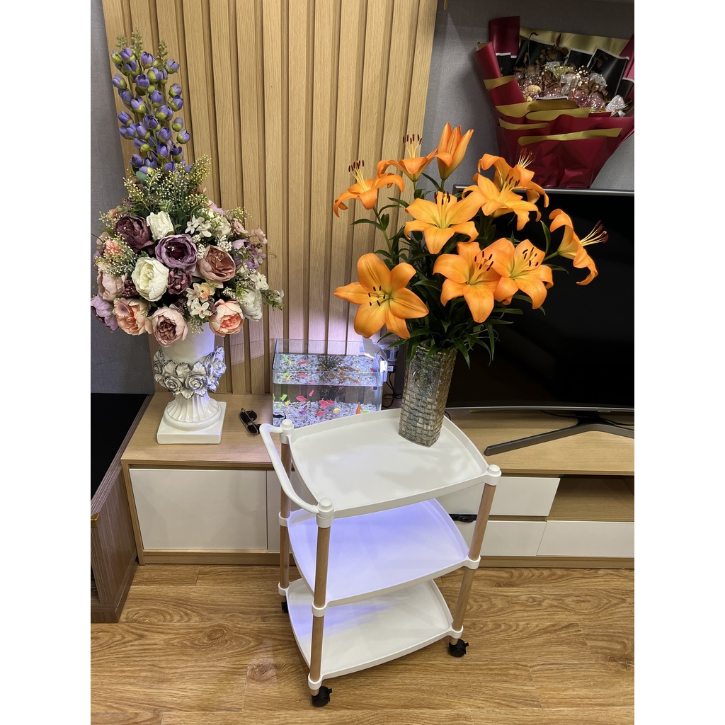 Kệ ba tầng, kệ nail mi móng tóc . xe đẩy spa ba tầng . xe đẩy gỗ 3 tầng cao cấp - spa88