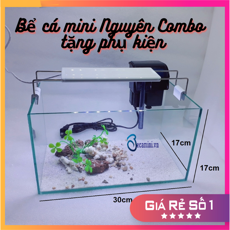 Bể cá mini + Lọc nước + Đèn led 30x17x17cm