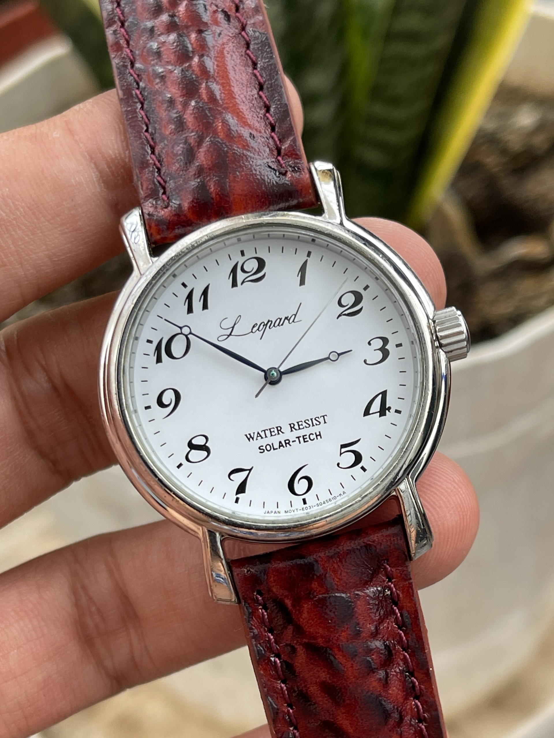 Đồng hồ nam Citizen Leopard pin solar hàng Si