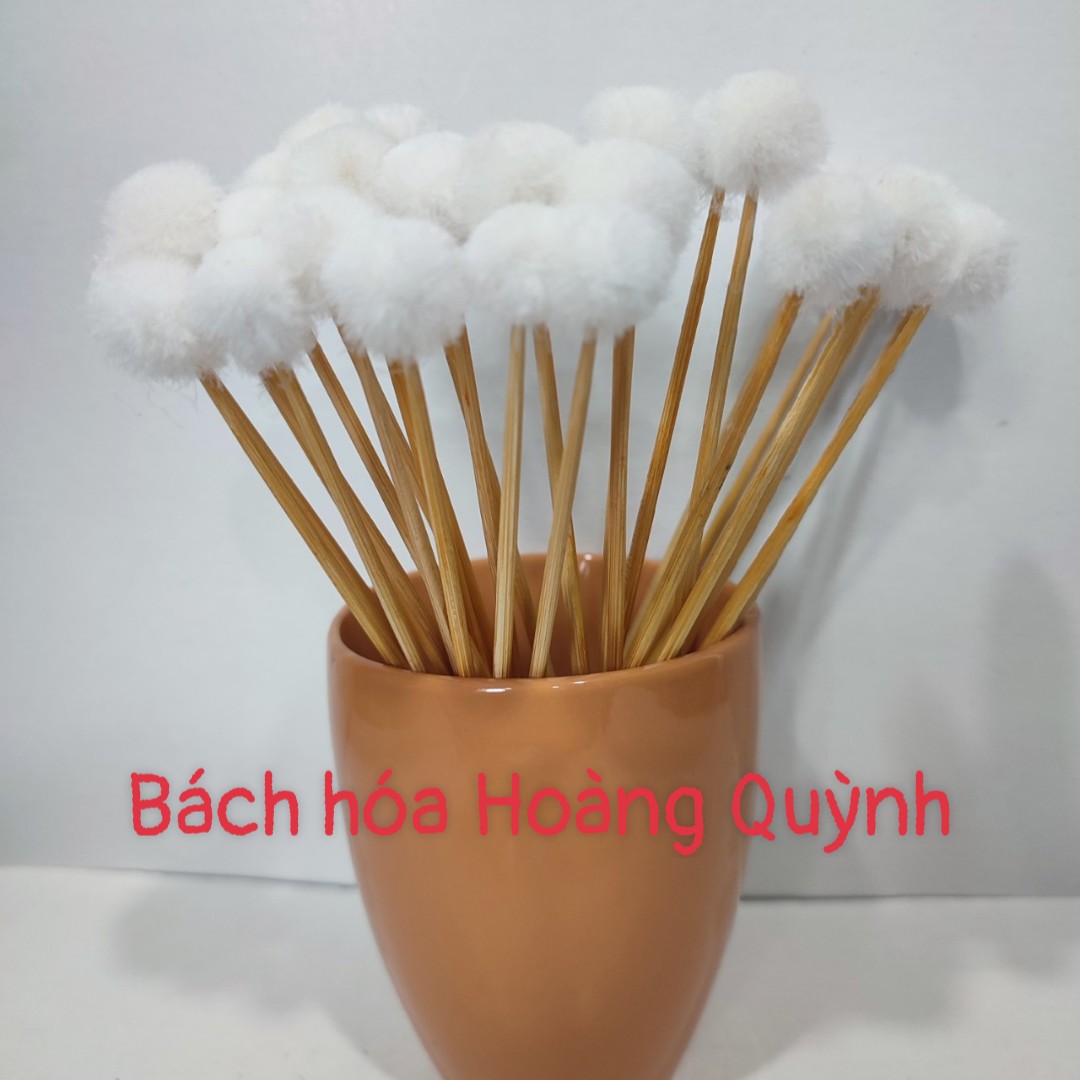 10 cây bông ngoáy tai, bông ráy tai , bông se tai thân gỗ đầu lông.