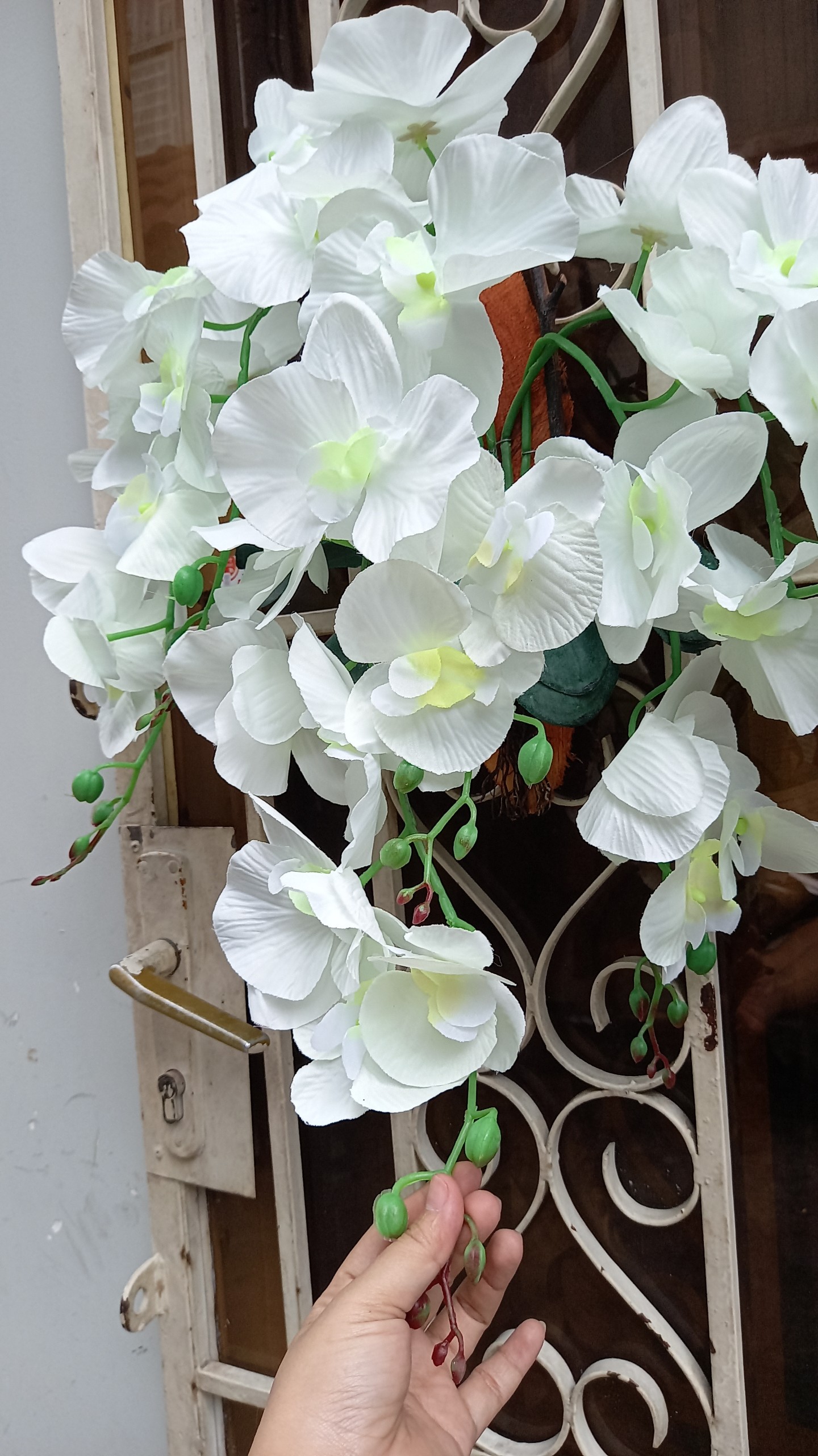 Lan treo tường 6 nhánh - Hoa giả - Hương Flower