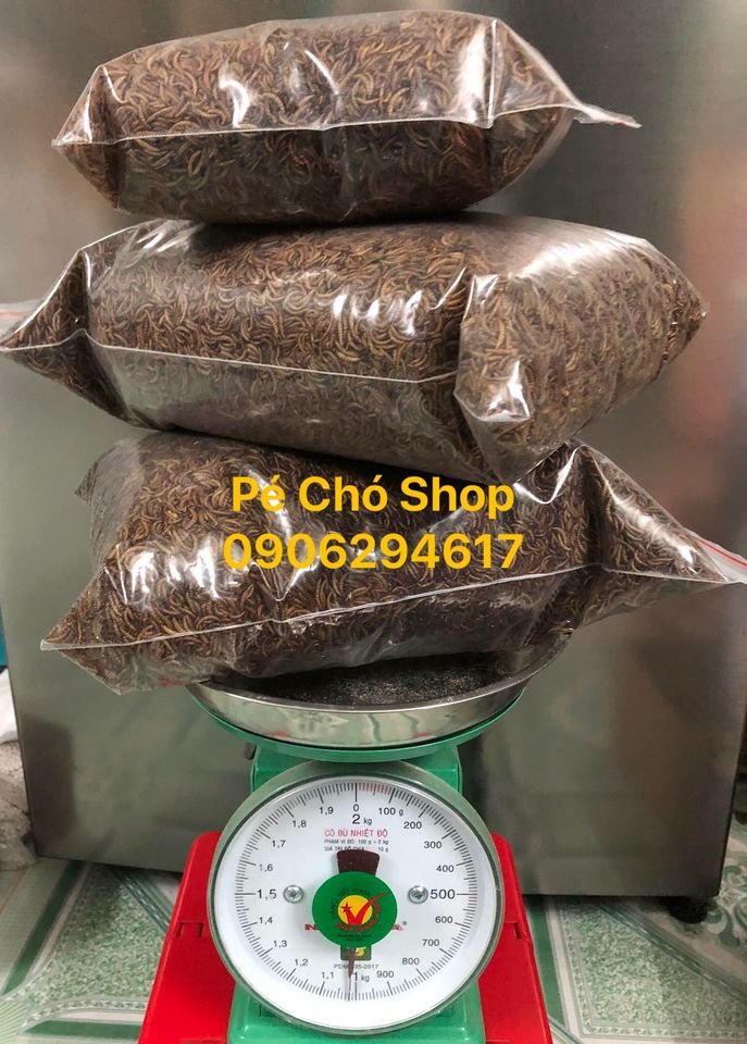 Sâu gạo rang túi sỉ 1 ký .