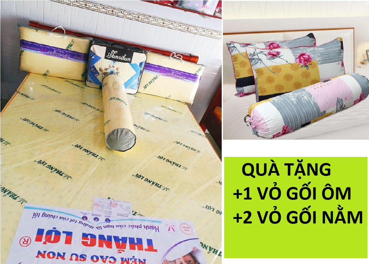 [HCM]BỘ 3 GỐI CAO SU NON THẮNG LỢI (2 Gối Nằm 40*60cm + 1 Gối Ôm)  TẶNG  2 VỎ GỐI NẰM +1 VỎ GỐI ÔM