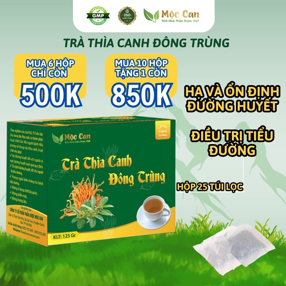 Trà túi lọc dây thìa canh đông trùng