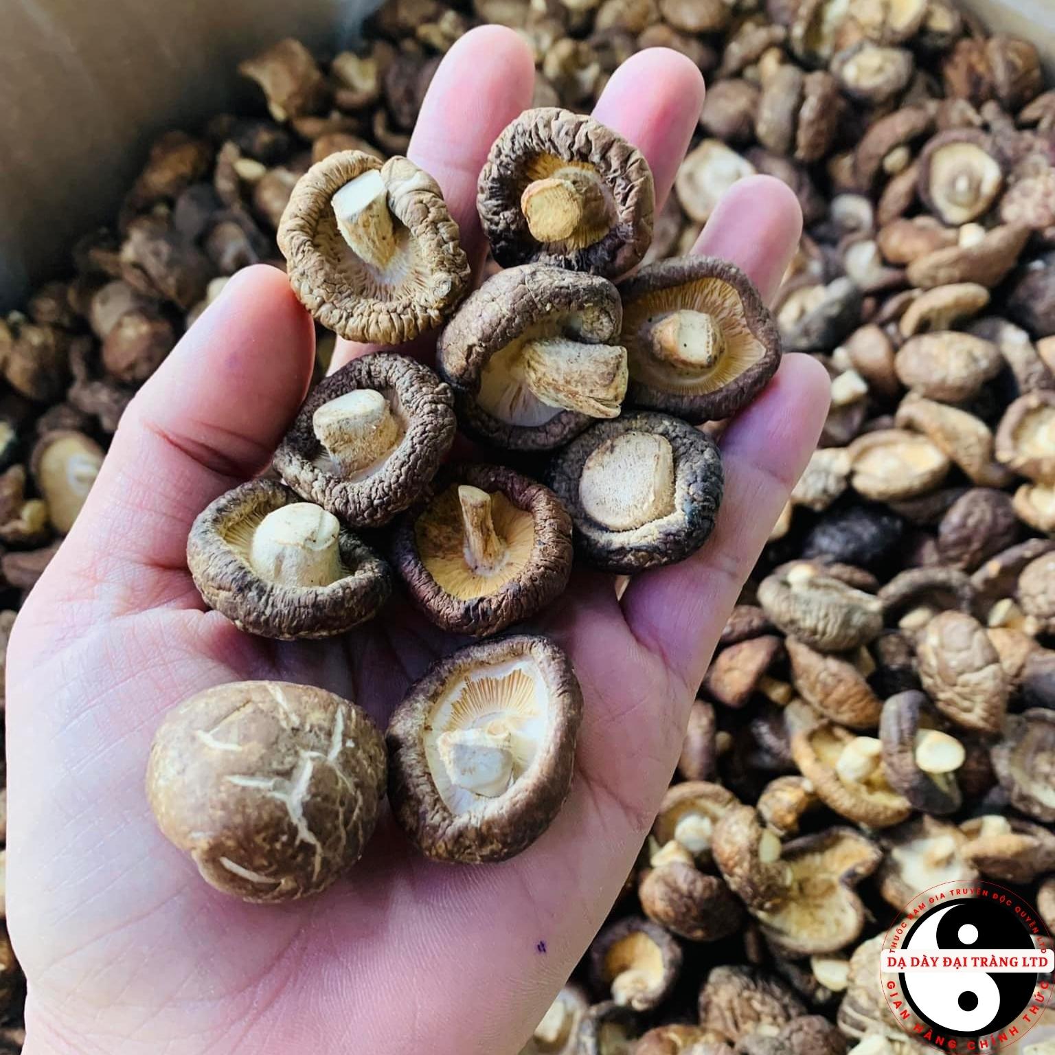 Nấm đông cô khô Sa Pa, nấm cúc loại 1 1kg thượng hạng. Đặc sản nấm hương rừng Tây Bắc, nấm đông cô, nấm hương rừng xiên que phơi khô tự nhiên
